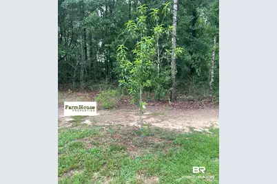 29146 County Road 68 Extension, Robertsdale, AL 36567 - Photo 28