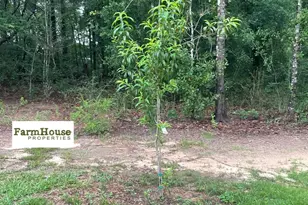 29146 County Rd 68 Ext, Robertsdale, AL 36567 - Photo 28
