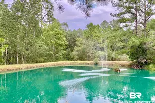 21305 River Rd, Robertsdale, AL 36567 - Photo 2
