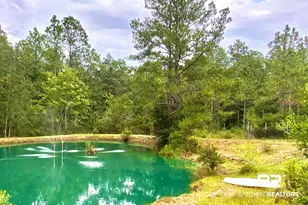 21305 River Rd, Robertsdale, AL 36567 - Photo 20