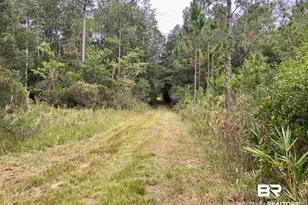 21305 River Rd, Robertsdale, AL 36567 - Photo 16