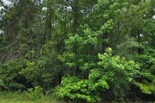 0 Shenandoah Dr, Spanish Fort, AL 36527 - Photo 1