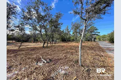 123 Kelly Lane, Gulf Shores, AL 36542 - Photo 2