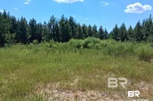 0000 Linholm Rd, Robertsdale, AL 36567 - Photo 1
