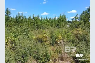 0000 Linholm Road, Robertsdale, AL 36567 - Photo 14