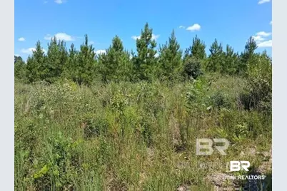 0000 Linholm Road, Robertsdale, AL 36567 - Photo 12