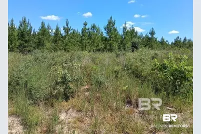 0000 Linholm Road, Robertsdale, AL 36567 - Photo 10