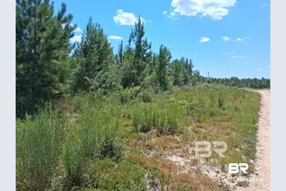 0000 Linholm Road, Robertsdale, AL 36567 - Photo 6