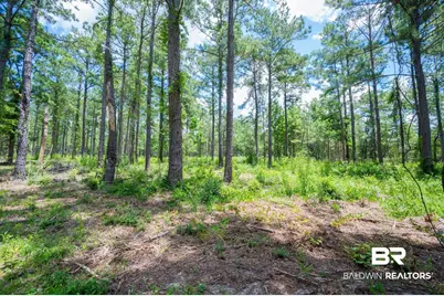 0 Hurricane Road, Bay Minette, AL 36507 - Photo 2