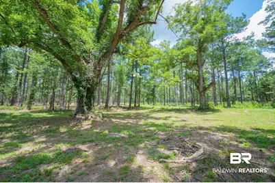 0 Hurricane Road, Bay Minette, AL 36507 - Photo 4