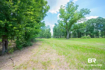 0 Hurricane Road, Bay Minette, AL 36507 - Photo 10