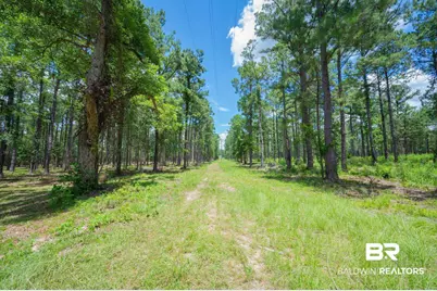 0 Hurricane Road, Bay Minette, AL 36507 - Photo 1