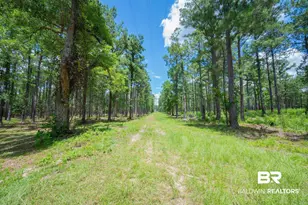 0 Hurricane Rd, Bay Minette, AL 36507 - Photo 1