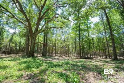 0 Hurricane Road, Bay Minette, AL 36507 - Photo 2