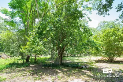 0 County Road 86, Bay Minette, AL 36507 - Photo 6