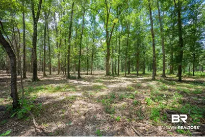 0 County Road 86, Bay Minette, AL 36507 - Photo 2