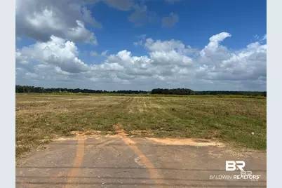 0 County Road 65, Foley, AL 36525 - Photo 4