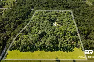 13131 US Hwy 98, Foley, AL 36535 - Photo 4