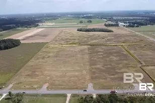 0 County Road 65, Foley, AL 36525 - Photo 1
