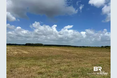 0 County Road 26, Foley, AL 36525 - Photo 6