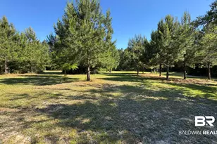 33370 US Hwy 98, Lillian, AL 36549 - Photo 50