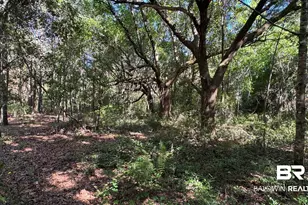 33370 US Hwy 98, Lillian, AL 36549 - Photo 54