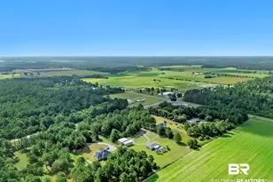 17153 Co Rd 87, Elberta, AL 36530 - Photo 72