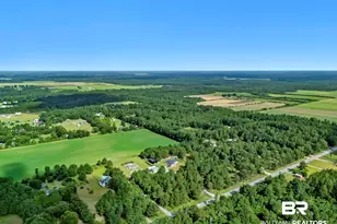 17153 Co Rd 87, Elberta, AL 36530 - Photo 66