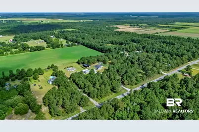 17153 County Road 87, Elberta, AL 36530 - Photo 64