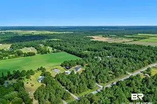 17153 Co Rd 87, Elberta, AL 36530 - Photo 64