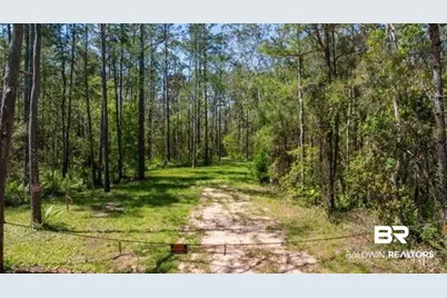 0 River Road, Fairhope, AL 36532 - Photo 4