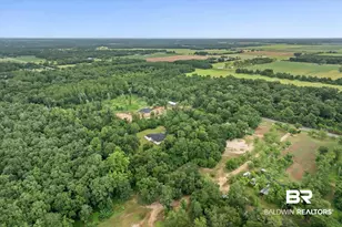 10341 Magnolia Springs Hwy, Foley, AL 36535 - Photo 58