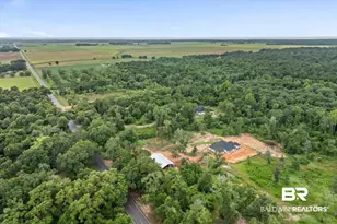10341 Magnolia Springs Hwy, Foley, AL 36535 - Photo 66