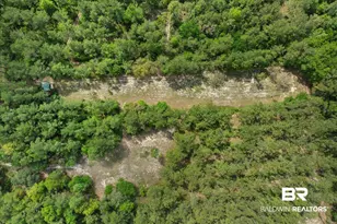 29476 C P Adams Ln, Elberta, AL 36530 - Photo 22