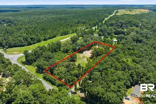 43960 State Hwy 225, Bay Minette, AL 36507 - Photo 56