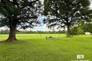 23856 Co Rd 47, Perdido, AL 36562 - Photo 50