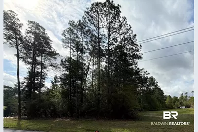 0 County Road 48, Fairhope, AL 36532 - Photo 4