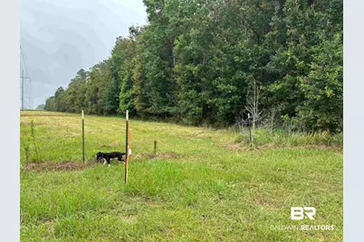 Lot 1 County Road 48, Robertsdale, AL 36567 - Photo 2