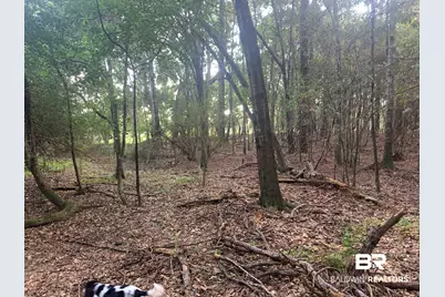 Lot 1 County Road 48, Robertsdale, AL 36567 - Photo 10