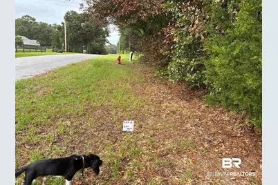 Lot 2 County Road 48, Robertsdale, AL 36567 - Photo 1