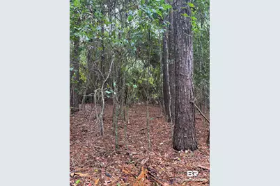 Lot 5 County Road 48, Robertsdale, AL 36567 - Photo 2