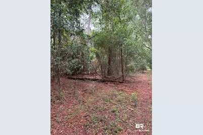 Lot 6 County Road 48, Robertsdale, AL 36567 - Photo 6