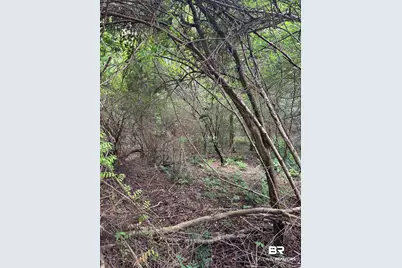 Lot 6 County Road 48, Robertsdale, AL 36567 - Photo 4