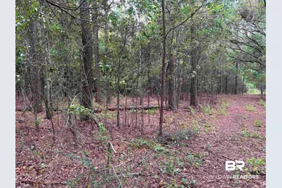 Lot 7 County Road 48, Robertsdale, AL 36567 - Photo 4