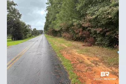 Lot 8 County Road 48, Robertsdale, AL 36567 - Photo 2