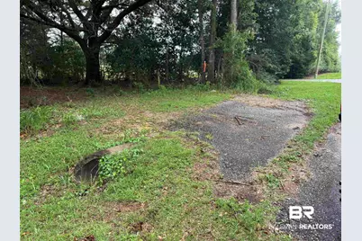Lot 9 County Road 48, Robertsdale, AL 36567 - Photo 1