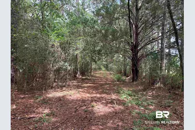 Lot 9 County Road 48, Robertsdale, AL 36567 - Photo 8