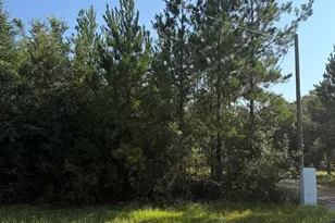 27731 Linholm Rd, Robertsdale, AL 36567 - Photo 10