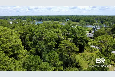 0 Piney Woods Road, Foley, AL 36535 - Photo 2