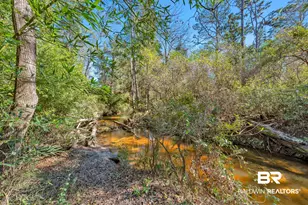 12344 Fernwood Cir, Foley, AL 36535 - Photo 50